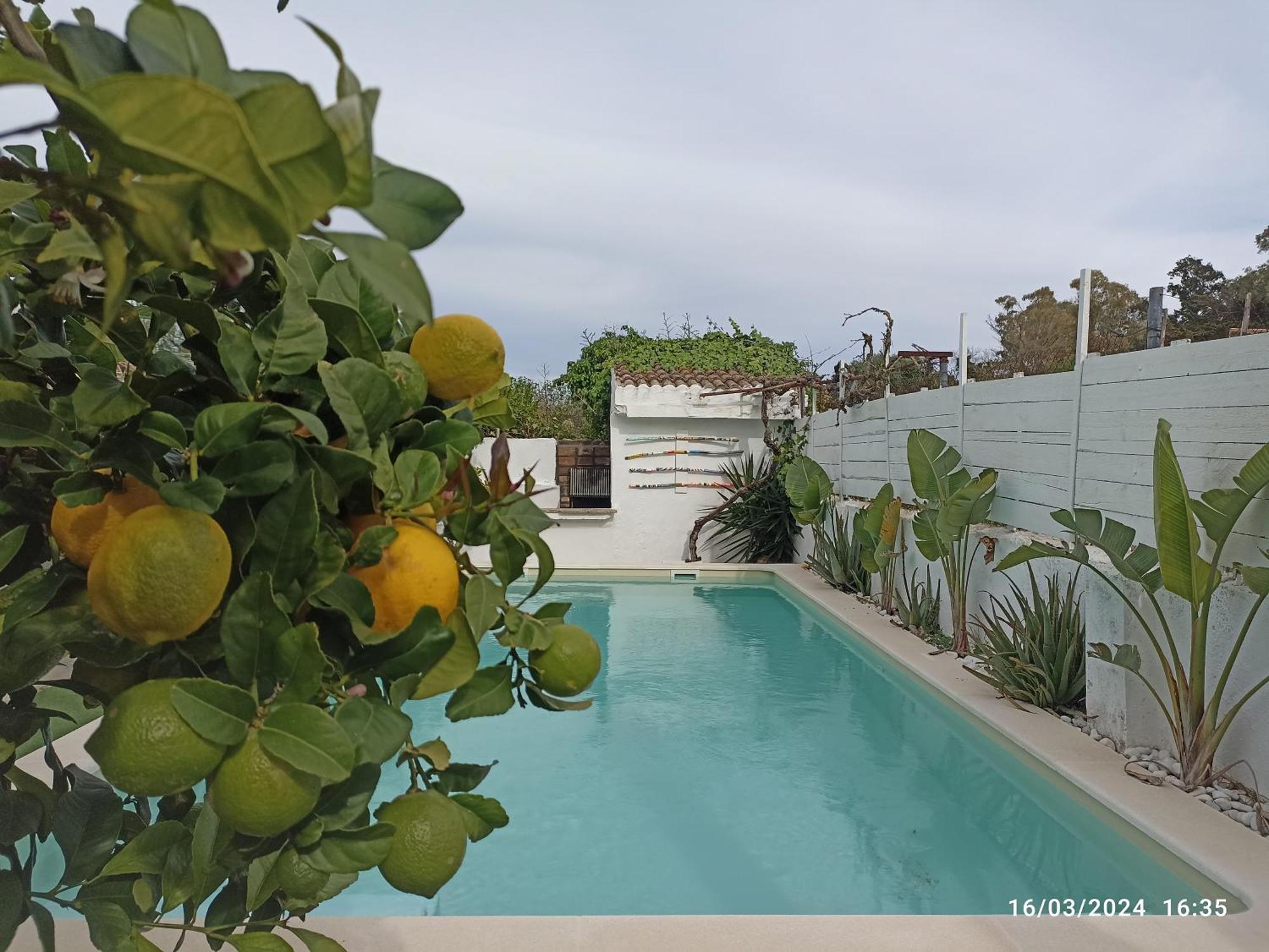 Casa, Piscina, Jacuzzi, Garaje, Barbacoa. Villa Chiclana de la Frontera Exteriör bild