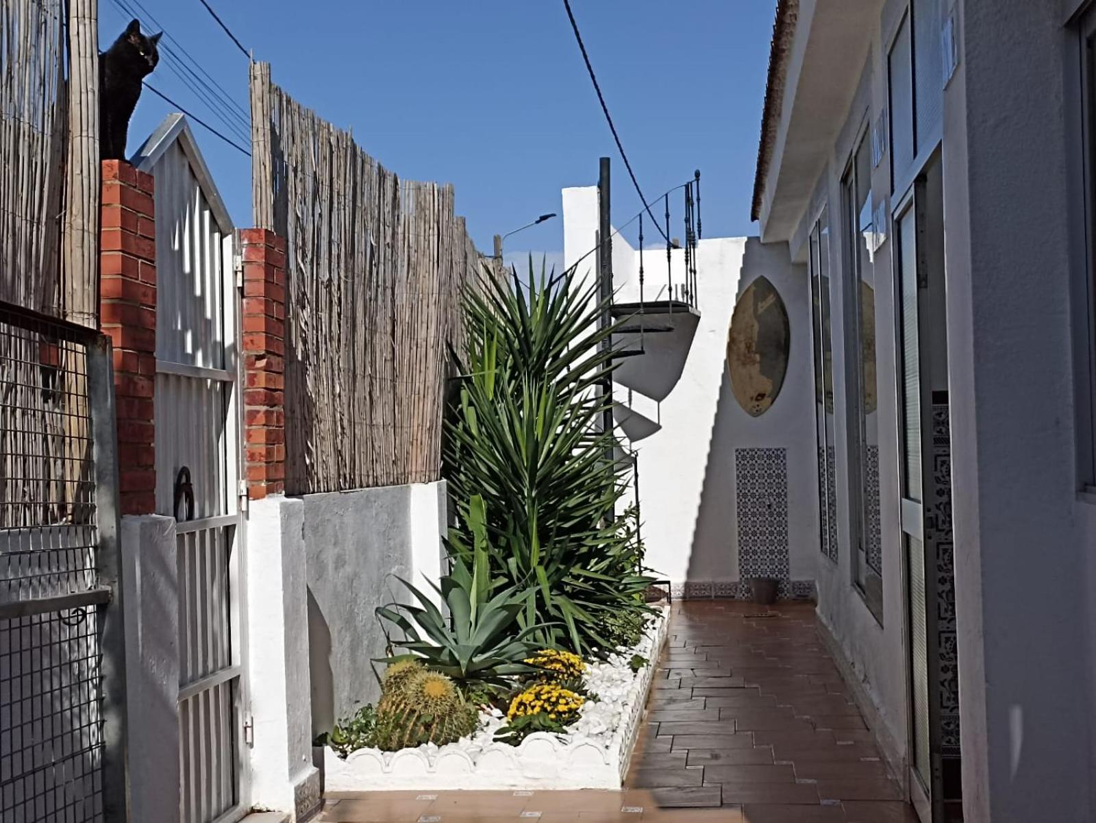 Casa, Piscina, Jacuzzi, Garaje, Barbacoa. Villa Chiclana de la Frontera Exteriör bild